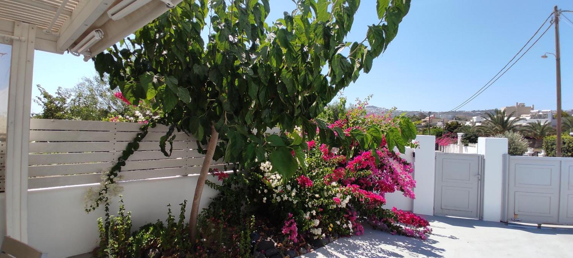 Jb Villa (Adults Only) Μεσαριά Εξωτερικό φωτογραφία